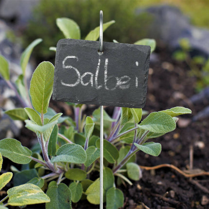 12 slate plant signs with stick