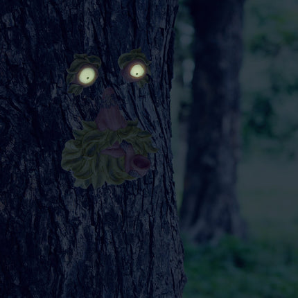 Trīsdaļīgs koka sejas vecais vīrs