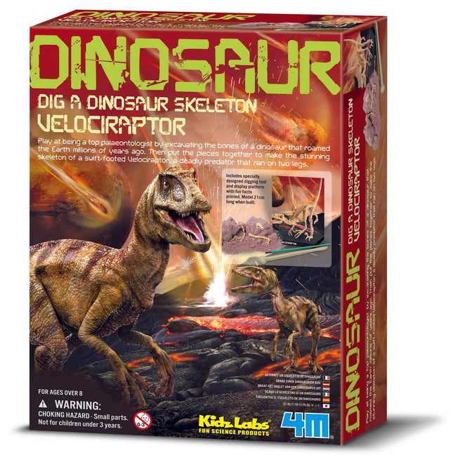 4M Kidzlabs amatniecības komplekts Velociraptor skelets