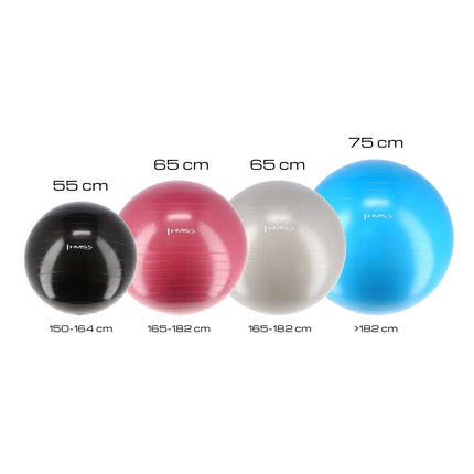 65cm Plum Exercise Ball for Yoga & Fitness