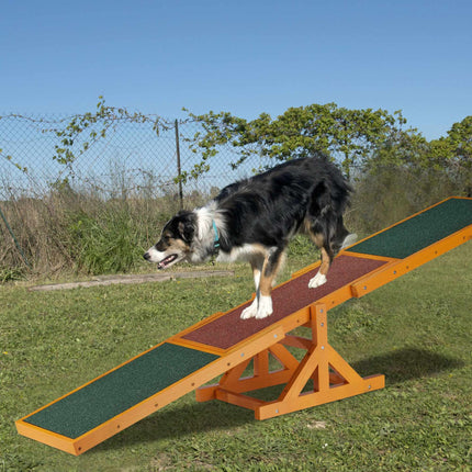 Suņu veiklība Seesaw