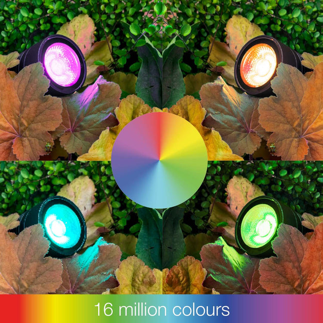 Arcus Garden spot RGB Black