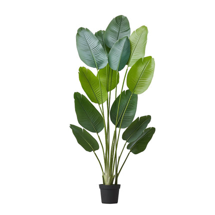 Artificial Bird of Paradise Tree 6ft, 13 Trunks, Pot