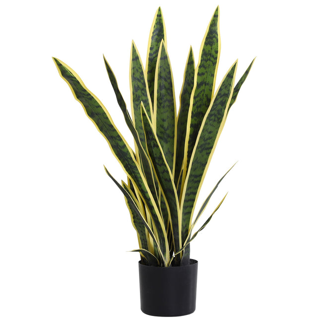 Mākslīgais čūskas augs, 77 cm augsts, podā viesistabai