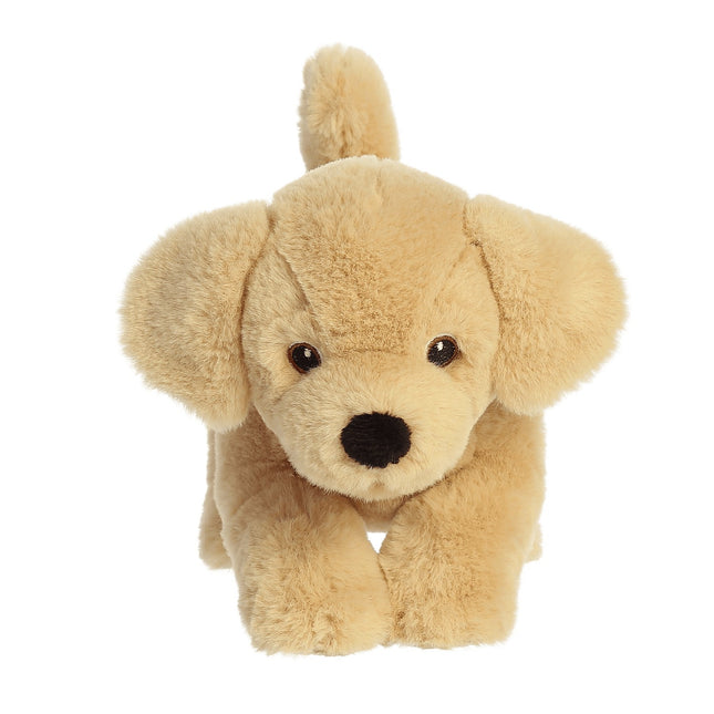 Aurora Eco Nation plīša zeltainais labradors, 15 cm