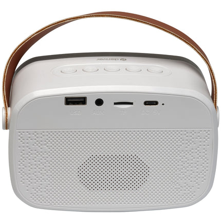 BTM-610 BT speaker with microphone and karaoke function
