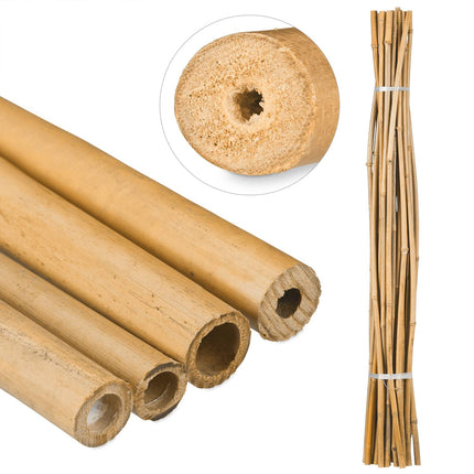 Bambusa nūjas 150 cm