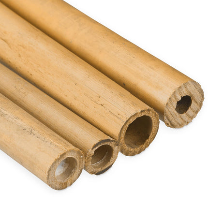 Bambusa nūjas 150 cm