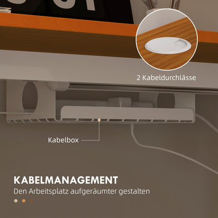 Bāra galds ar regulējamu augstumu, elektriski regulējams, 120x60x72-116cm, ar triecienizturīgu aprīkojumu, kabeļu kasti, āķi pakarināšanai, skaidu plātne, dabīgs koks