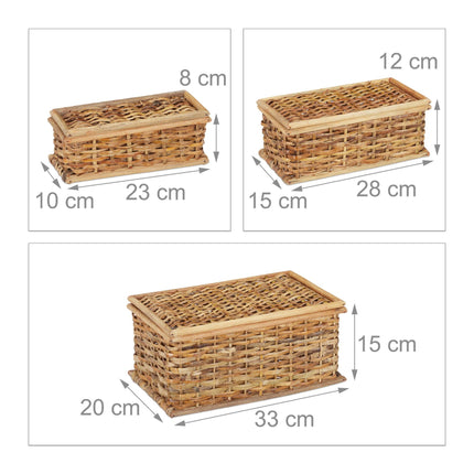 3 rotangpalmas grozu komplekts