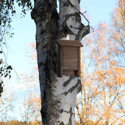 Sikspārņu kaste no brūna koka