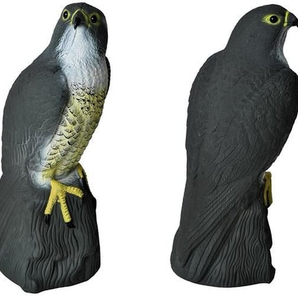 Putnu atbaidītājs - piekūns