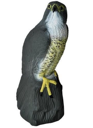 Putnu atbaidītājs - piekūns