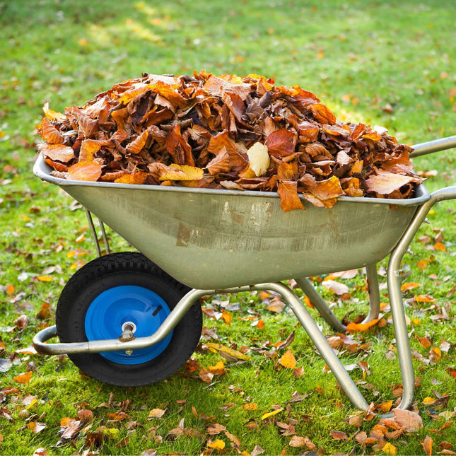 Zils ķerras ritenis ar asi