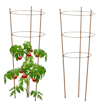 Brūni vīteņaugi 76 cm, 2 gab. komplekts