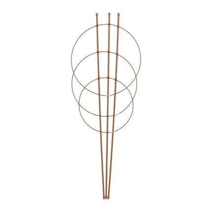 Brūni vīteņaugi 76 cm, 2 gab. komplekts
