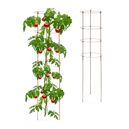 Brown Plant Supports with Rings, 120 cm