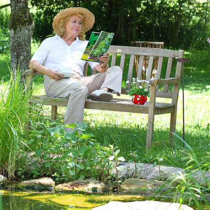 Čuguna putnu vanna ar augsnes mietiņu