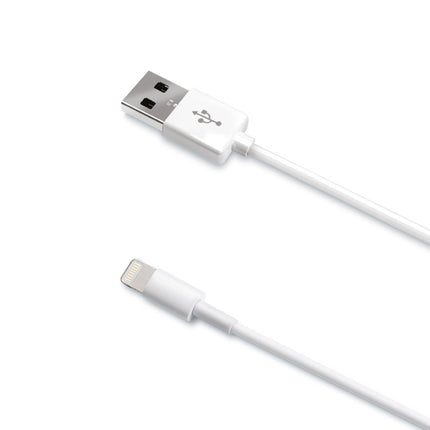 Charge/Sync Lightning Slim 1m V