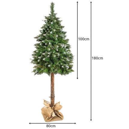 Ziemassvētku eglīte uz stumbra - dimanta priede 180 cm