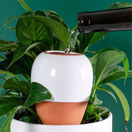 Māla laistīšanas konusi ar vākiem, 350 ml, balti, 2 gab. komplekts