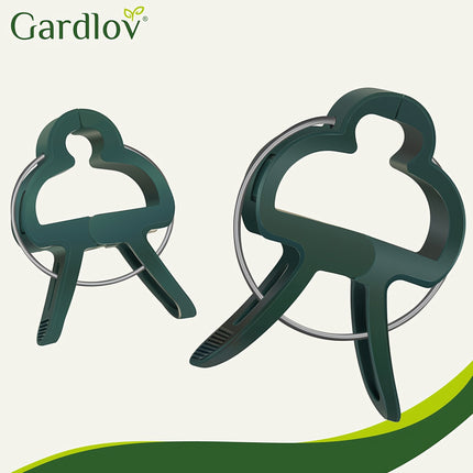 Saspraudes - augu adatas - 108 gab. Gardlov 22586