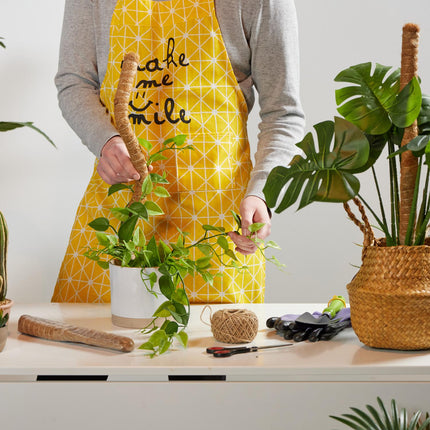 Kokosriekstu standziņas 60 cm