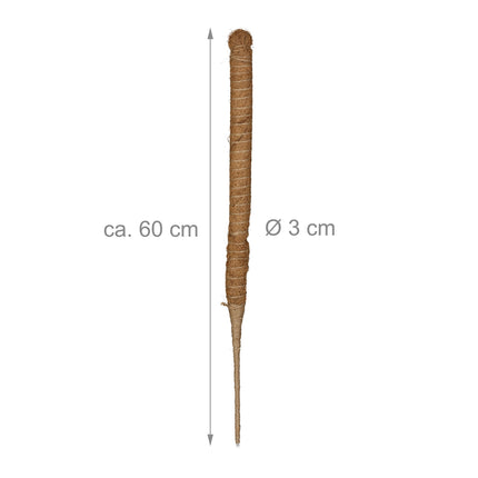 Kokosriekstu standziņas 60 cm
