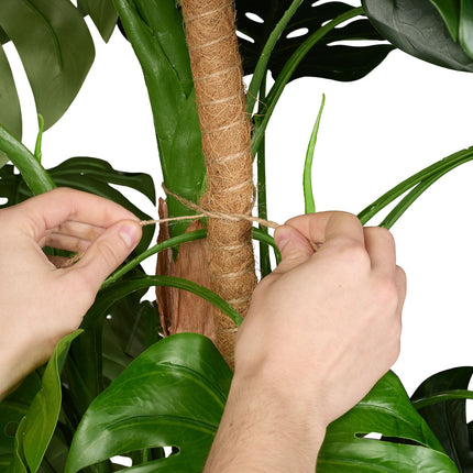 Kokosriekstu standziņas 60 cm
