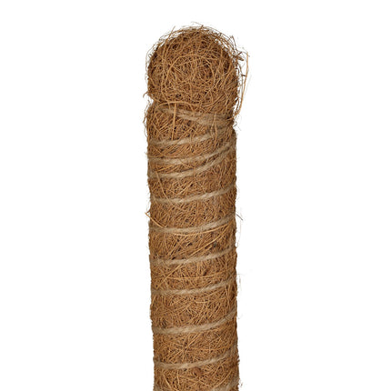 Kokosriekstu standziņas 60 cm