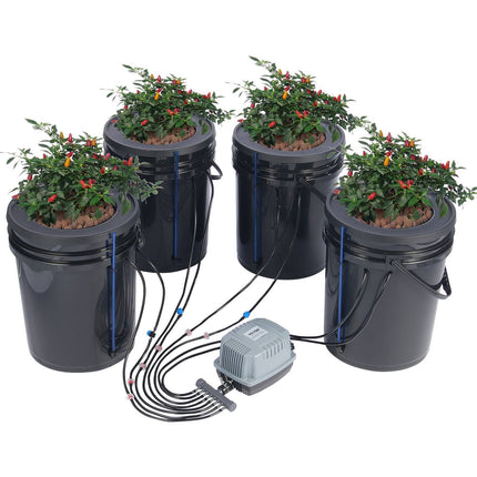 DWC Hydroponic System, 4 x 5-Gallon Buckets, Top Drip