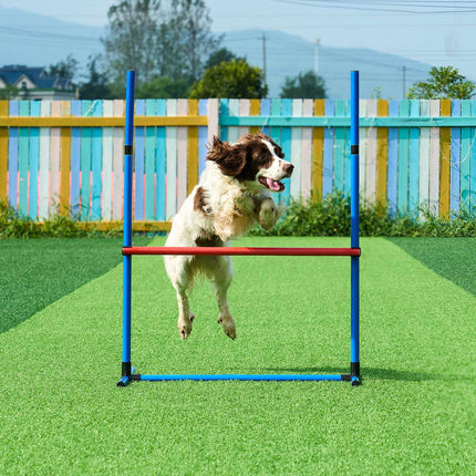Dog Agility Course Kit, 5-Piece Set With Tunnel & Hurdles