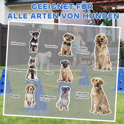 Suņu veiklības komplekts - 3 daļu treniņu komplekts ar 6 konusiem, 3 šķēršļiem