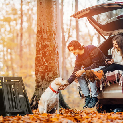 Suņu kastes automašīna ar starpsienu