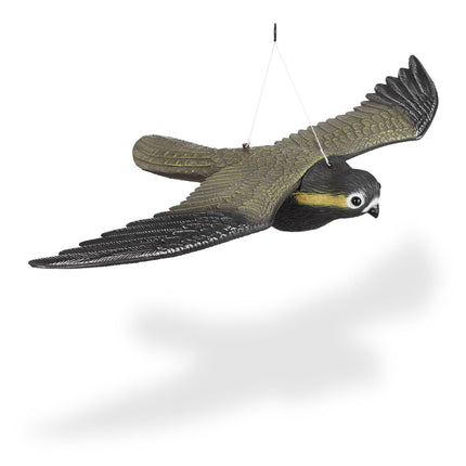 Dummy of raptor falcon