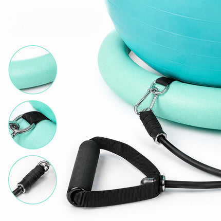 Exercise Ball 65 cm with Stand, Resistance Bands and Pump, Black