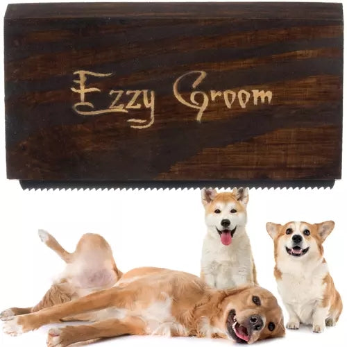Ezzy Groom rupjā matu suka