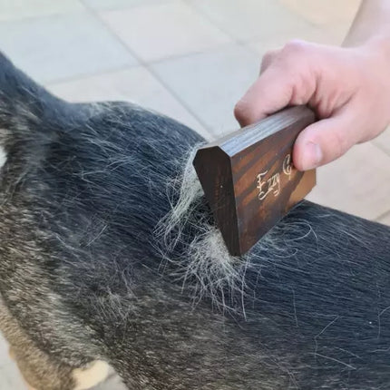Ezzy Groom rupjā matu suka