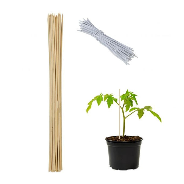 Ziedu kociņi 60 cm, komplektos pa 50