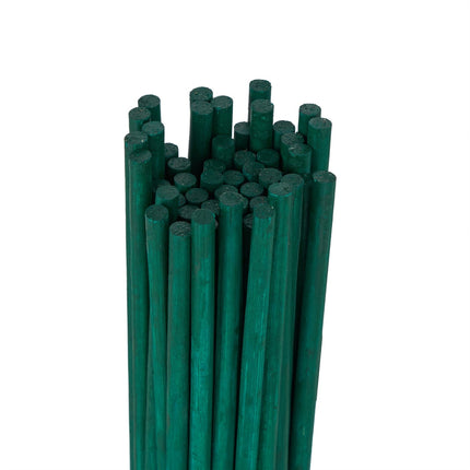 Flower sticks 60 cm in sets of 50
