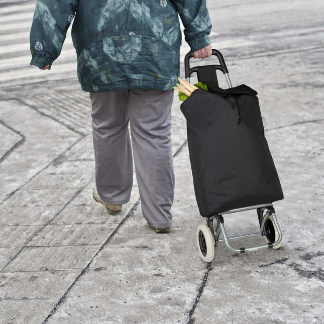 Saliekamie iepirkumu ratiņi
