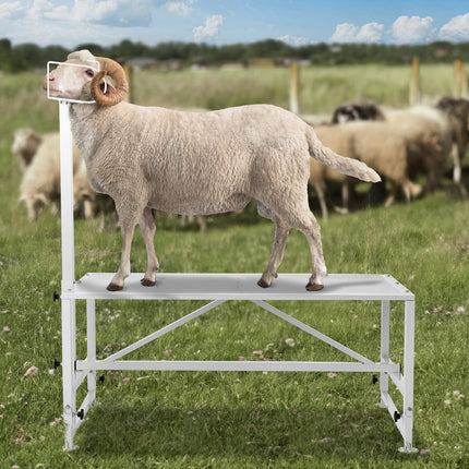Goat and Sheep Stand 51x23 in, 21–33 in Adjustable