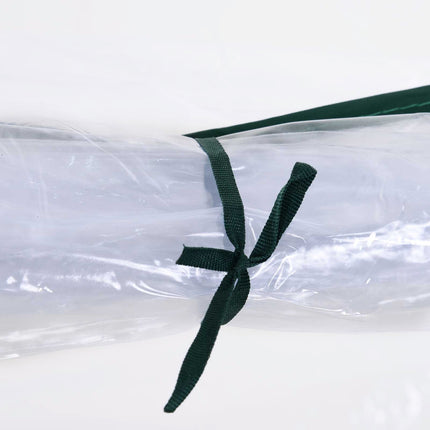 Siltumnīca ar durvīm, aukstais rāmis, augu audzēšanai, tērauds, PVC, 250x100x80cm