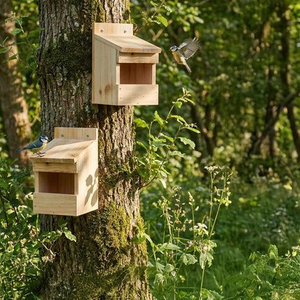 Half-Cave Nest Box Set of 2 for Niche Nesters, Untreated Fir Wood