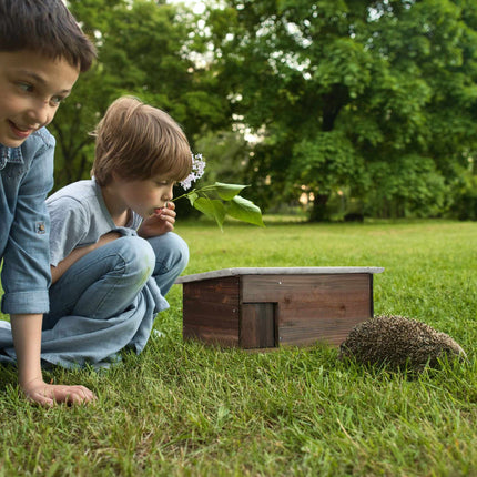 Liela koka ežu māja