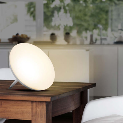 Light therapy Daylight lamp LT 500