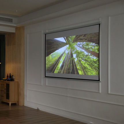 Manuāls projektora ekrāns, 100 collas, 4:3/16:9, mājas kinozālei