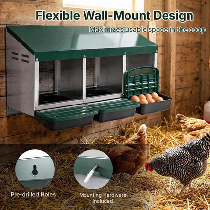 Metal Chicken Nesting Box with 3 Compartments and Egg Trays, Green, Roll Away