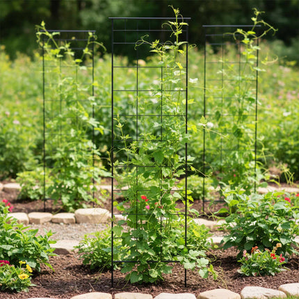 Metal Garden Trellis Set of 2 for Climbing Plants, 193 x 58 cm, Black