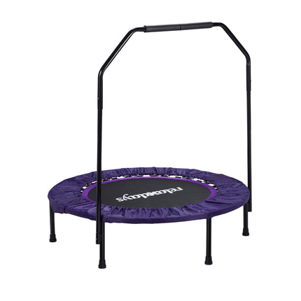 Mini batuts ar drošības stieni, 102 cm diametrs